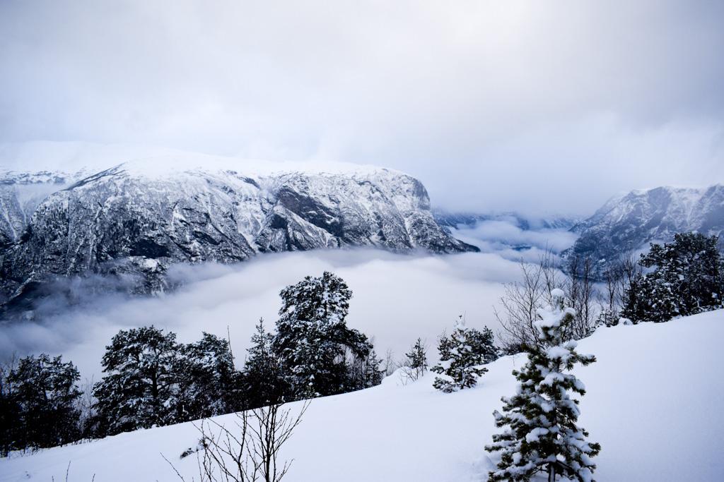À plus de 600 mètres d’altitude, l’enneigement est idéal...