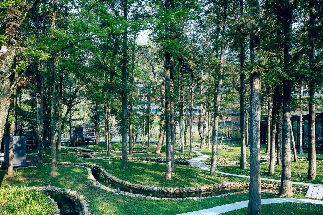 La silhouette de l’hôtel se laisse à peine deviner à travers les arbres, pour une immersion intégrale en dehors du temps.