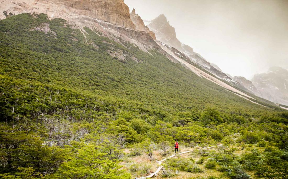 La réserve Los Huemules où se trouve El Chaltén possède 25 kilomètres de sentiers balisés