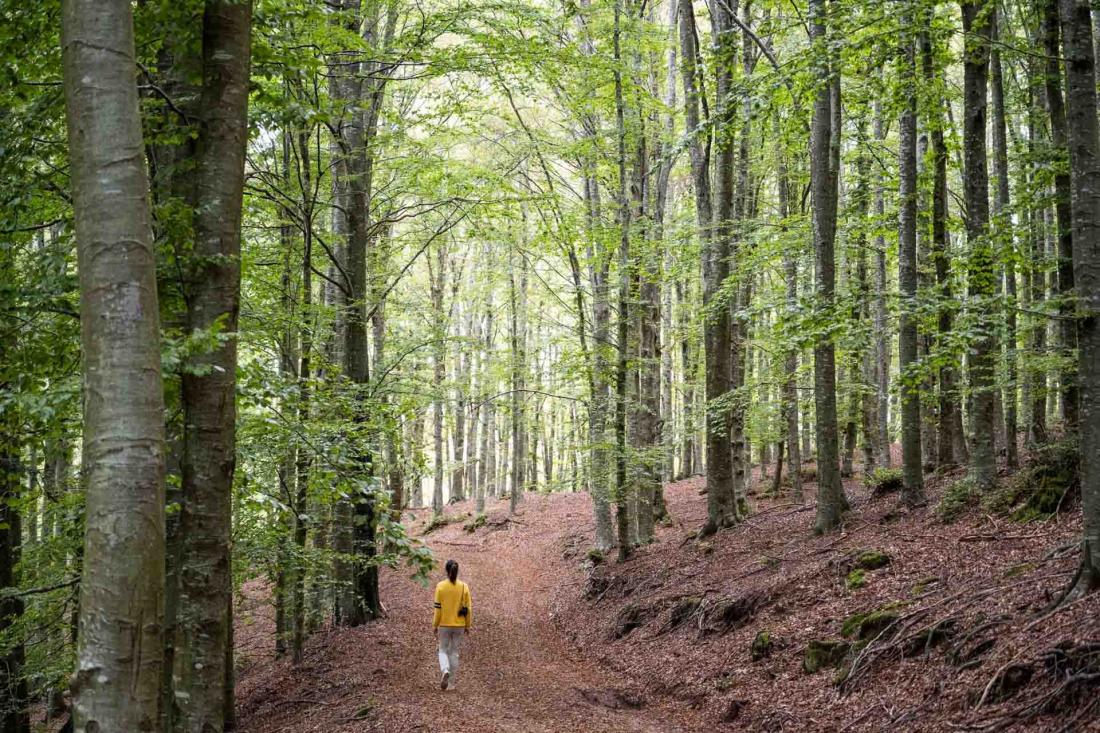 À travers les sentiers à couper le souffle, le domaine abrite plus 50 km de réserve naturelle intacte