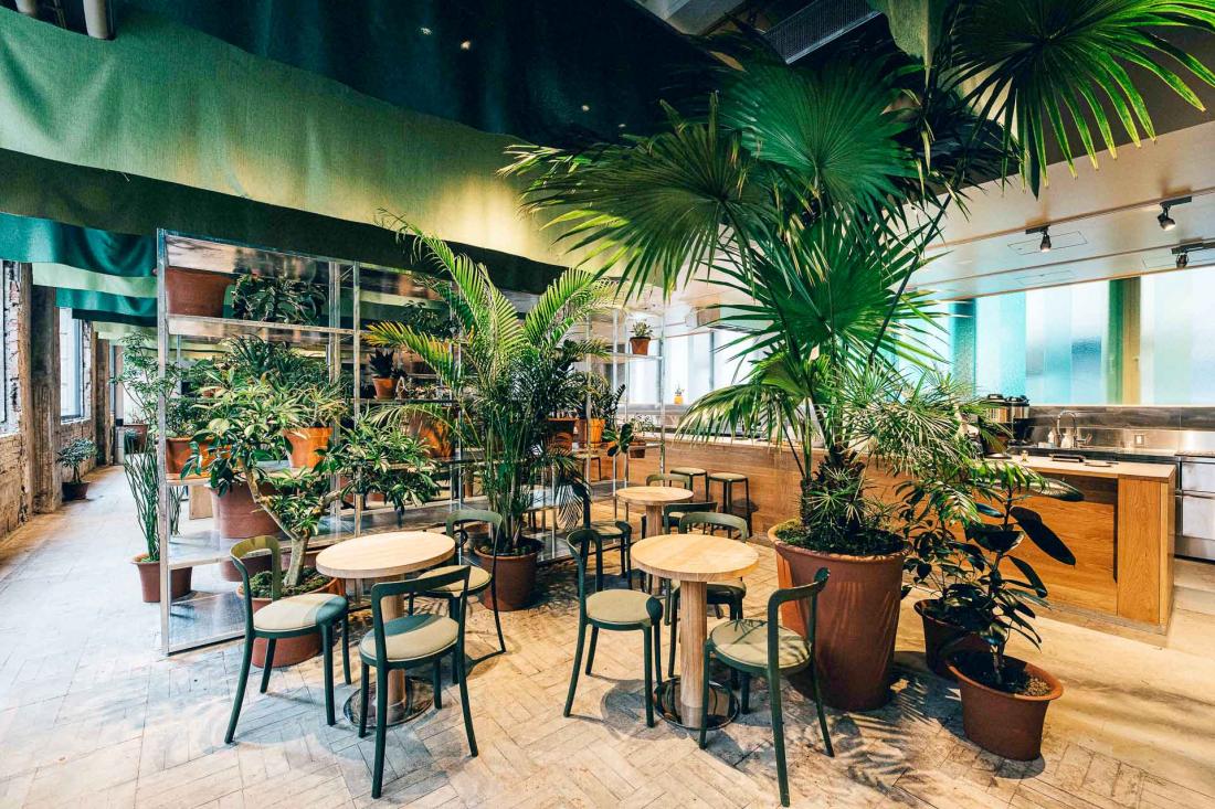 Le café et le lobby se mêlent au milieu des plantes vertes