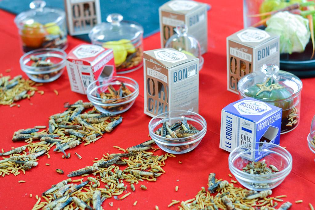 Shay Ola, insectophile, en pleine preparation des tacos au ténébrion et de ses cocktails au Blanc de blancs