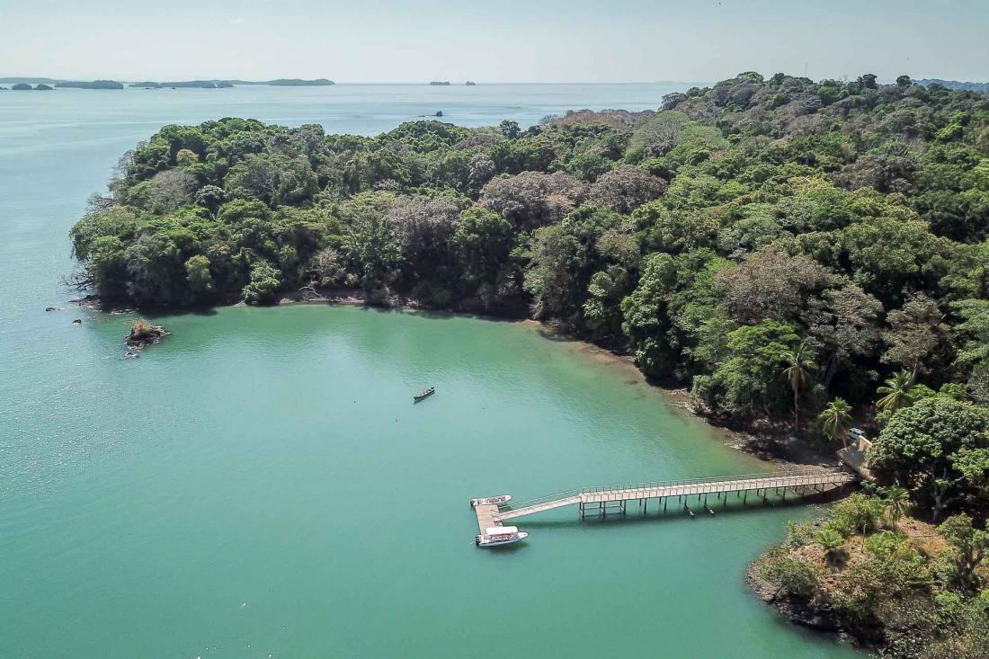 Cette île sauvage du golfe de Chiriqui a su conserver un environnement unique, où la nature est souveraine.