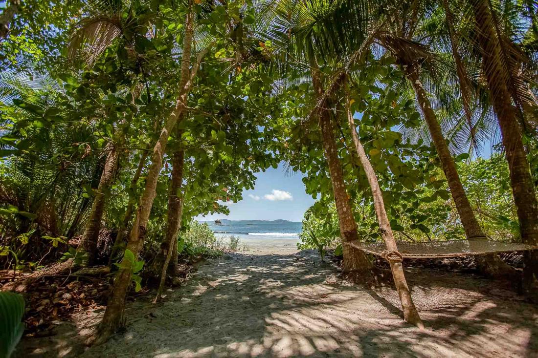 Isla Palenque jouit d’un accès direct à une plage paradisiaque, avec des eaux turquoise à perte de vue…