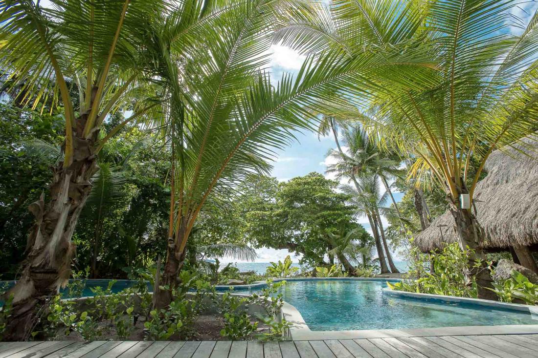 La piscine privée de la villa, nichée au cœur de la palmeraie, est une invitation à la détente et au lâcher prise