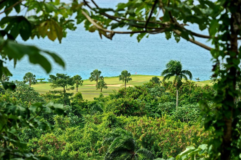 Entre jungle et océan, un parcours de golf imaginé par le fils de Robert Trent Jones, Sr