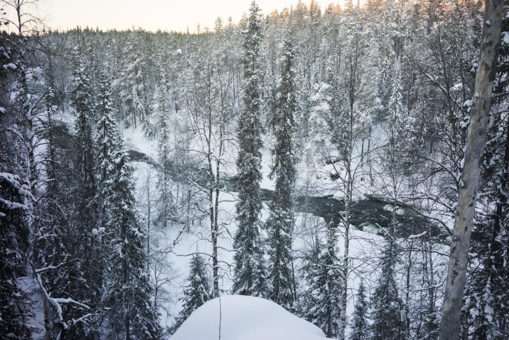 Parc national d'Oulanka.