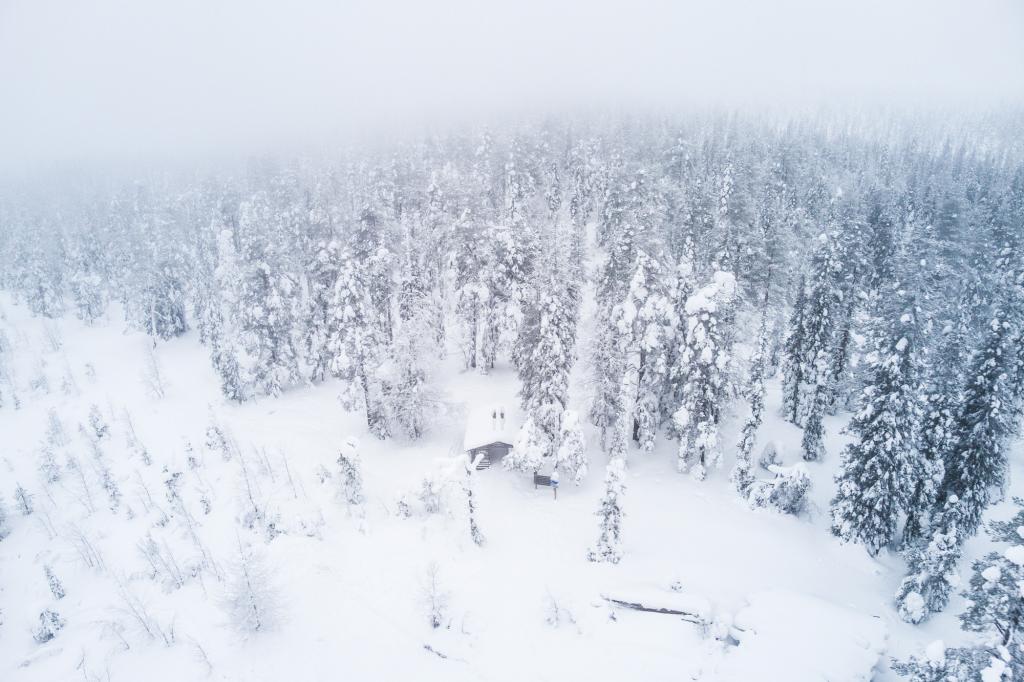 Parc national du Riisitunturi.