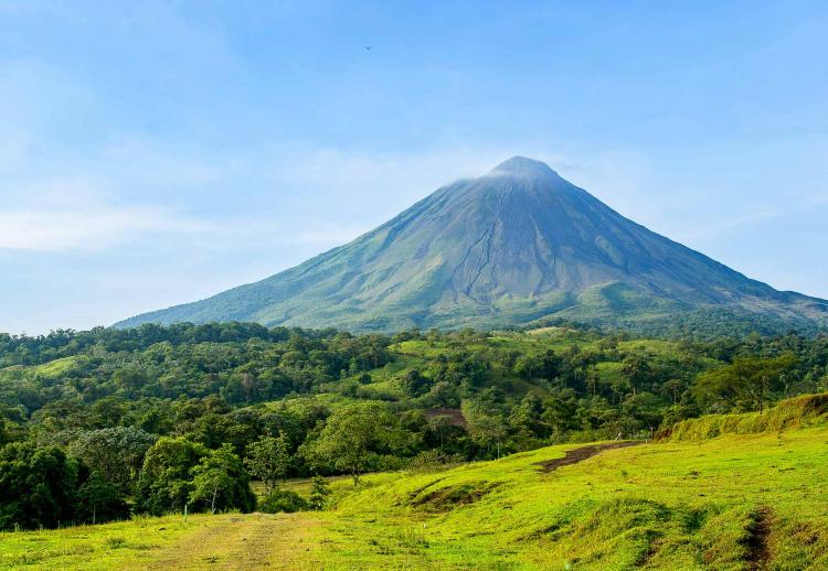 Savage Lands, une ONG qui défend et protège les forêts au Costa Rica