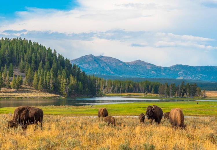Road trip dans l'Ouest sauvage des Etats-Unis, du Wyoming à la Californie