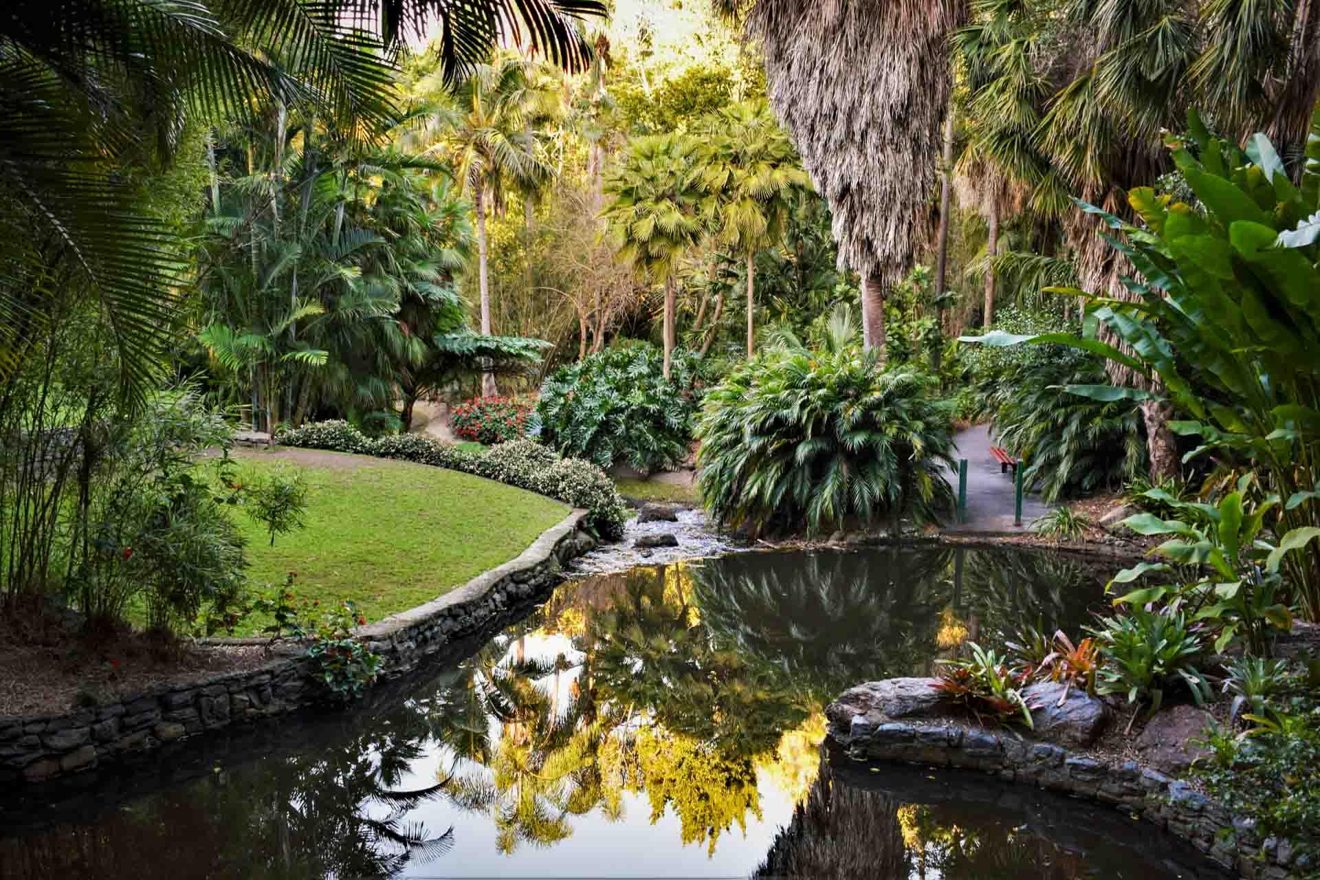 Jardin botanique Brisbane ©maggie-yap