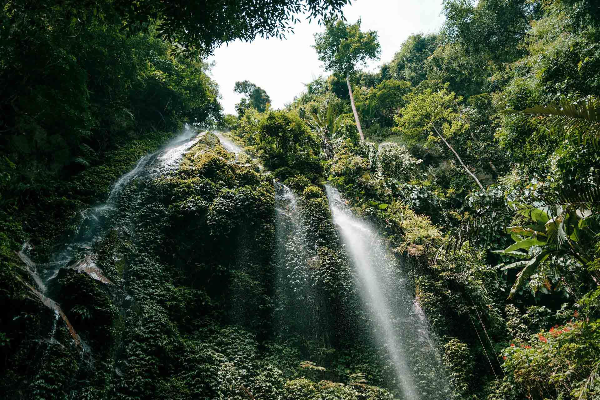 Royal Belum State Park © Job Savelsberg