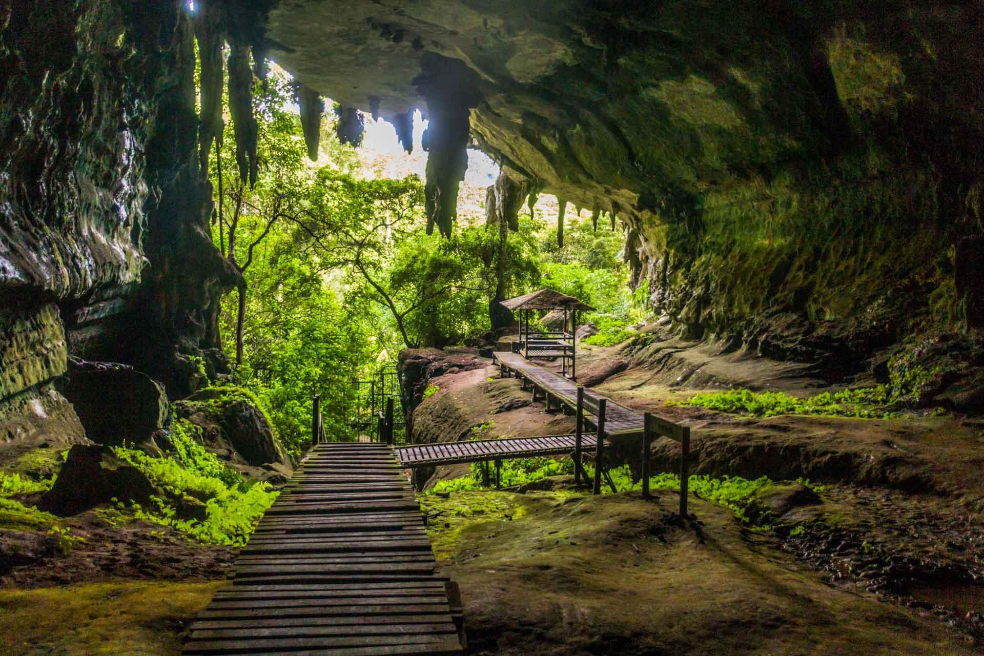 Niah Cave © AdobeStock Matyas Rehak