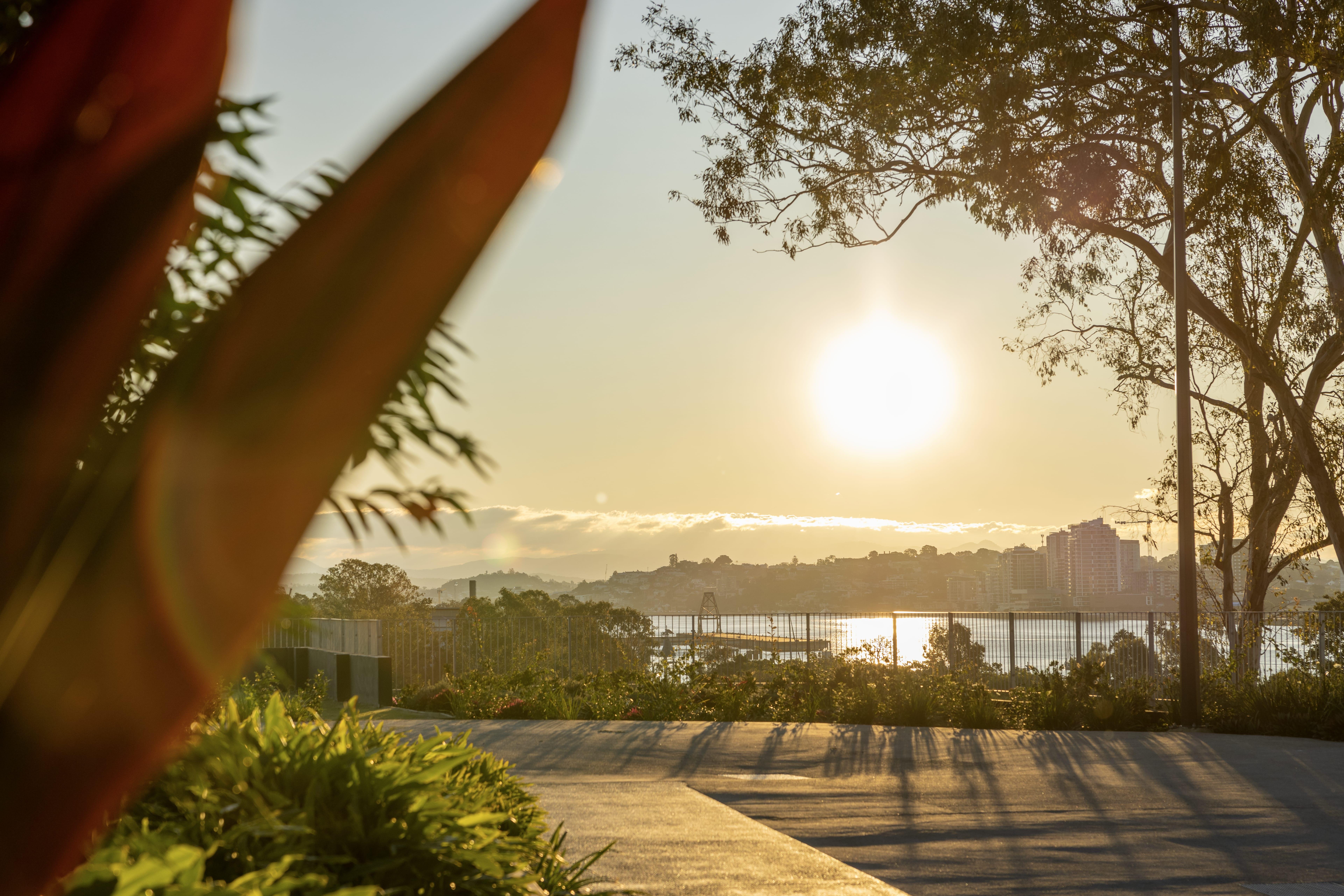 Brisbane, vibrante et tropicale