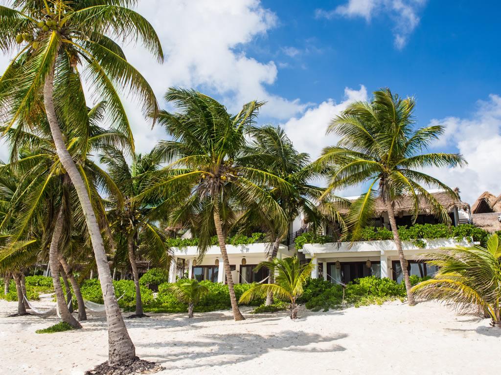 The Beach Tulum