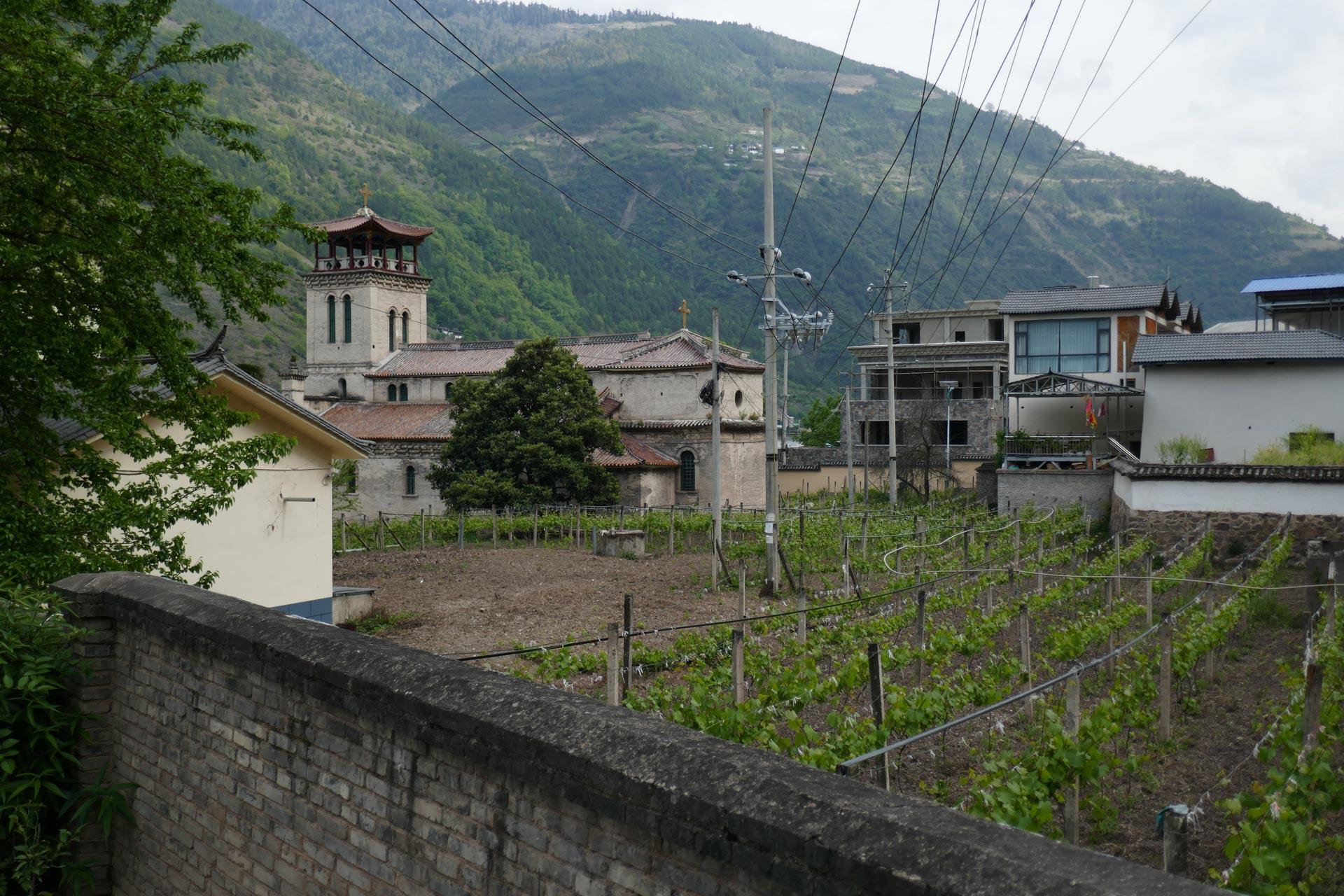 La dernière parcelle de vigne dans Cizhong même © PG