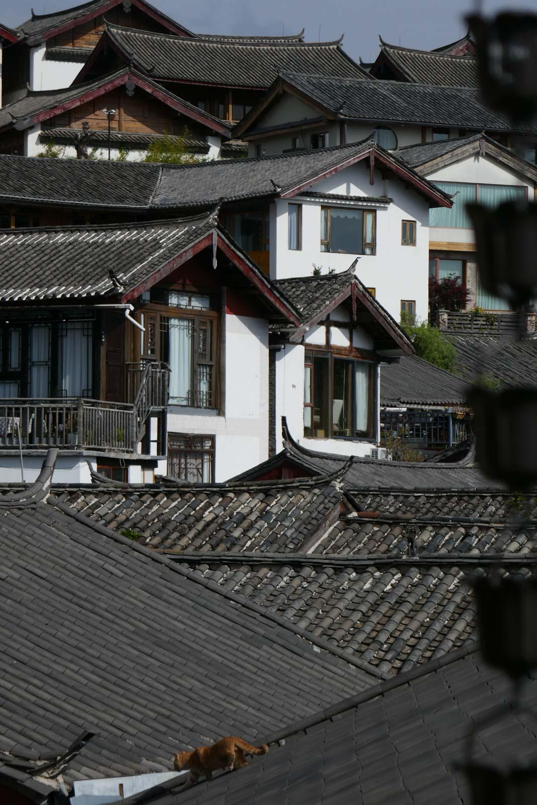 Lijiang, sur un itinéraire au Yunnan © PG