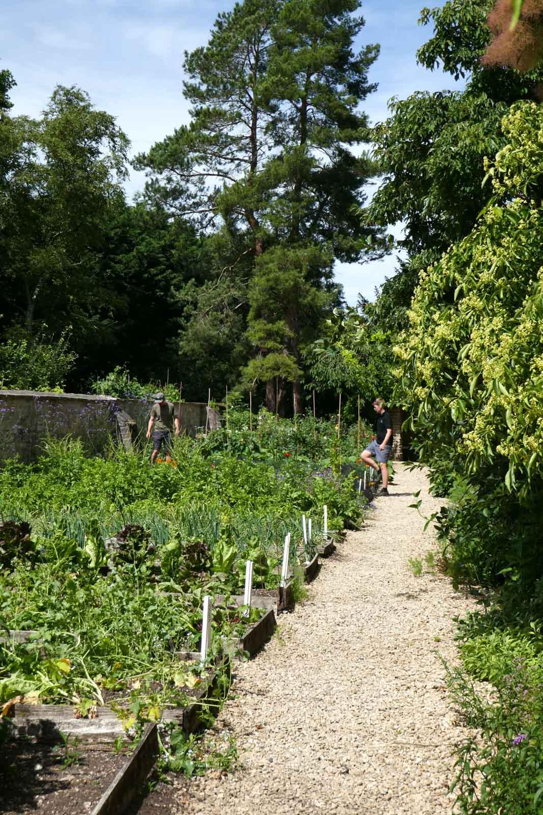 Le potager © Pierre Gunther