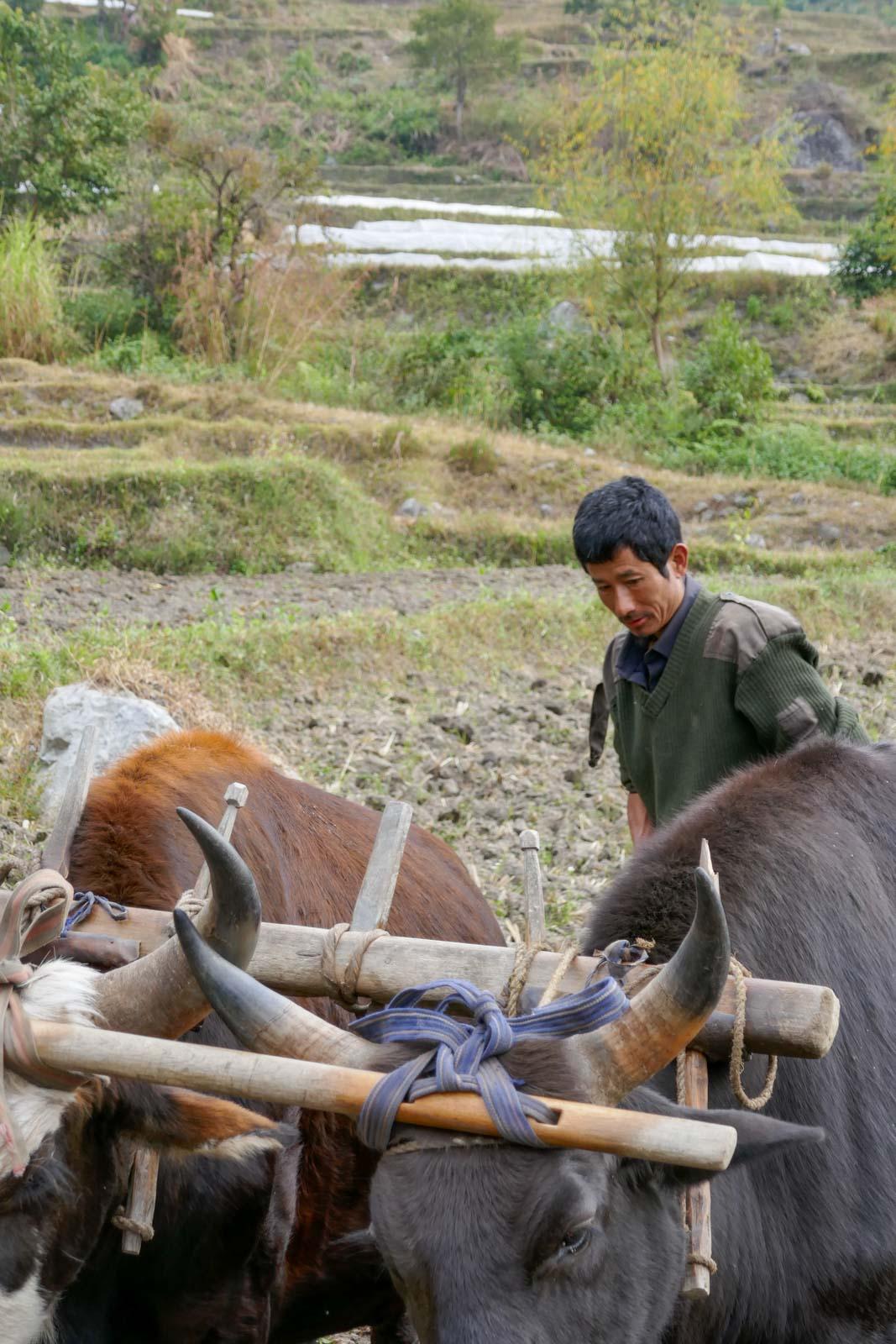 Dans la vallée de Punakha © PG | Yonder.fr