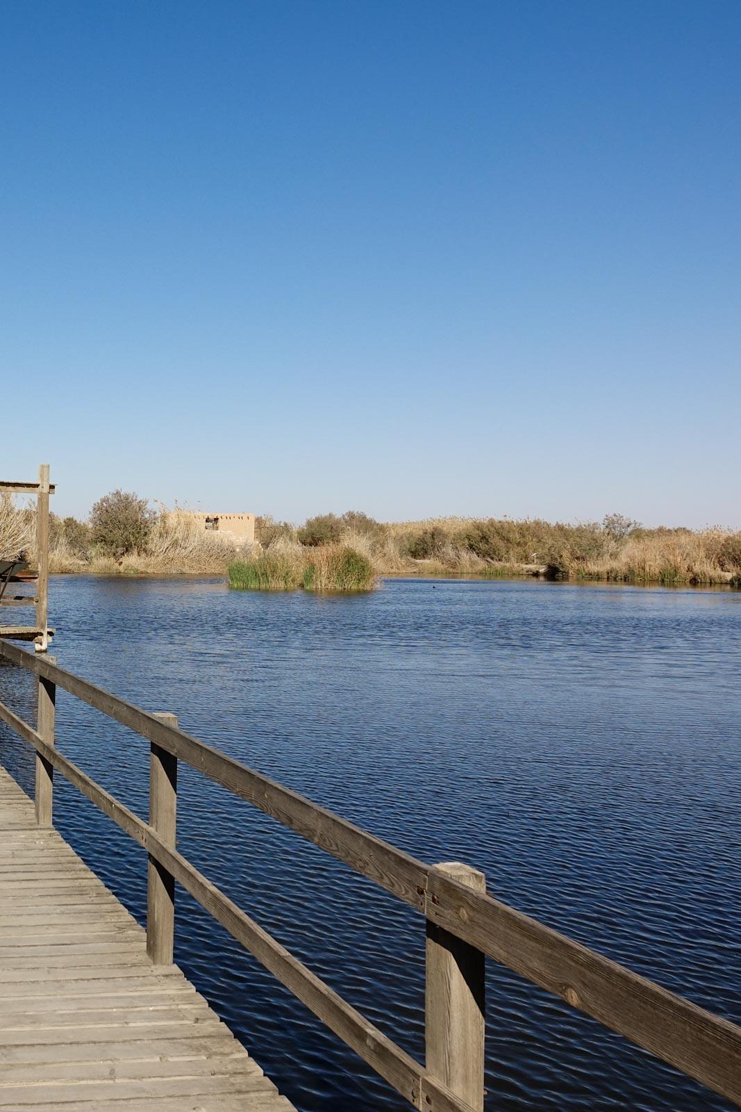 Azraq Wetland Reserve © Christelle Zamora
