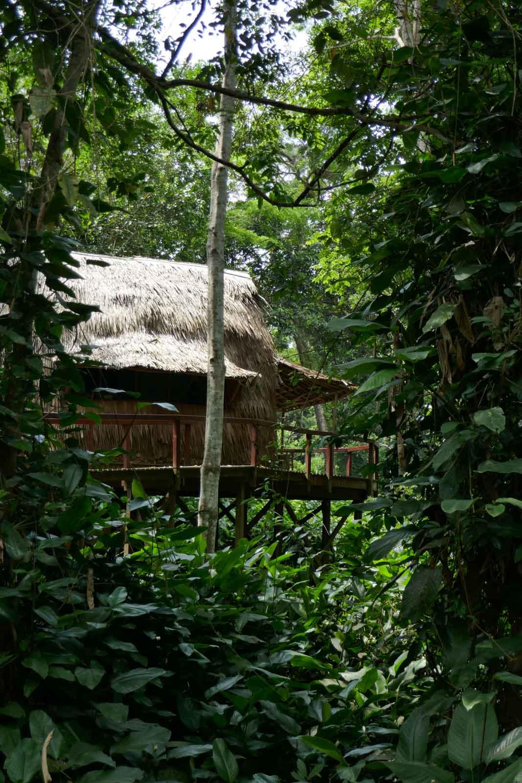 Les 6 suites perchées du lodge de Ngaga © PG