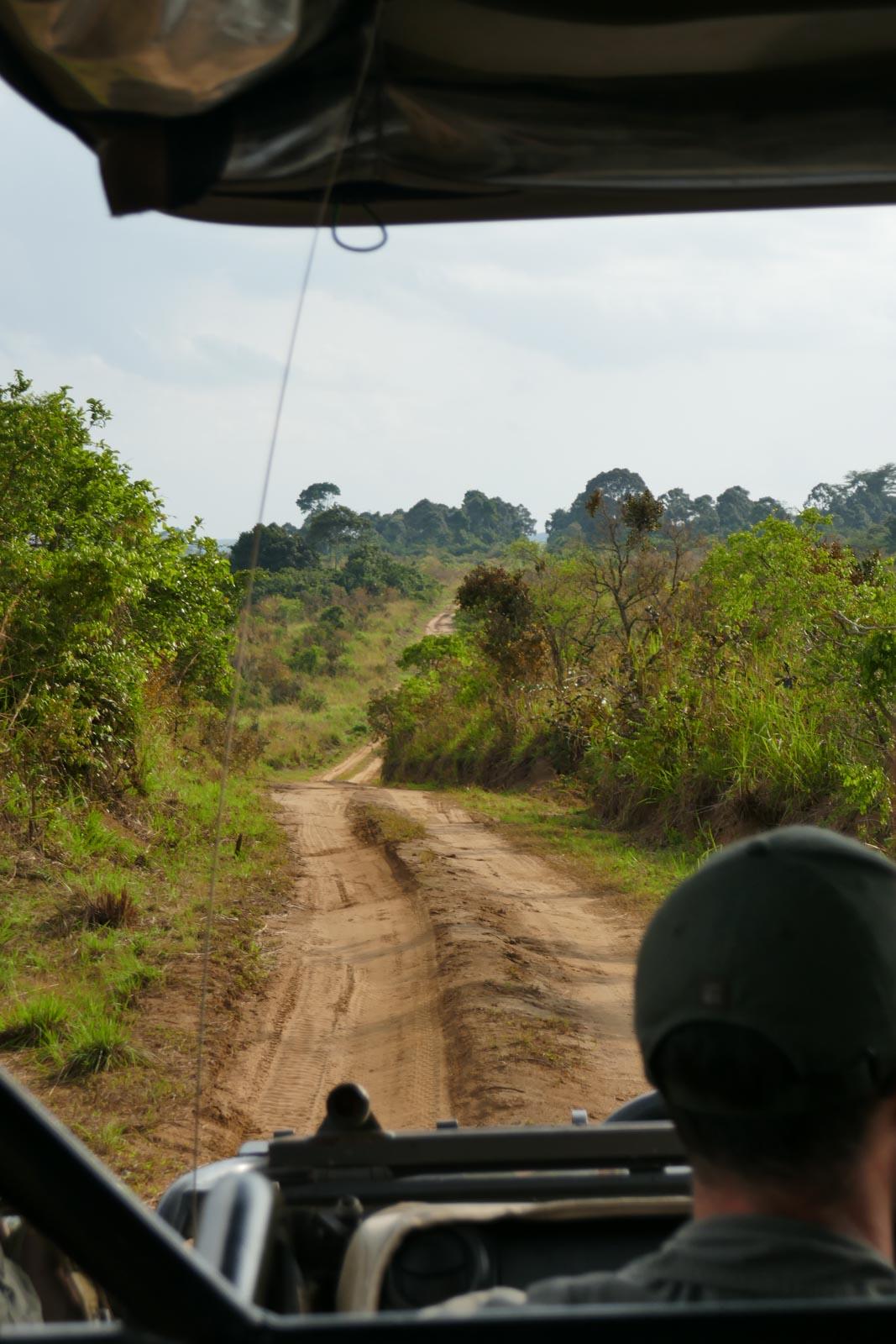 De Ngaga à Mboko, de la jungle à la savane © PG