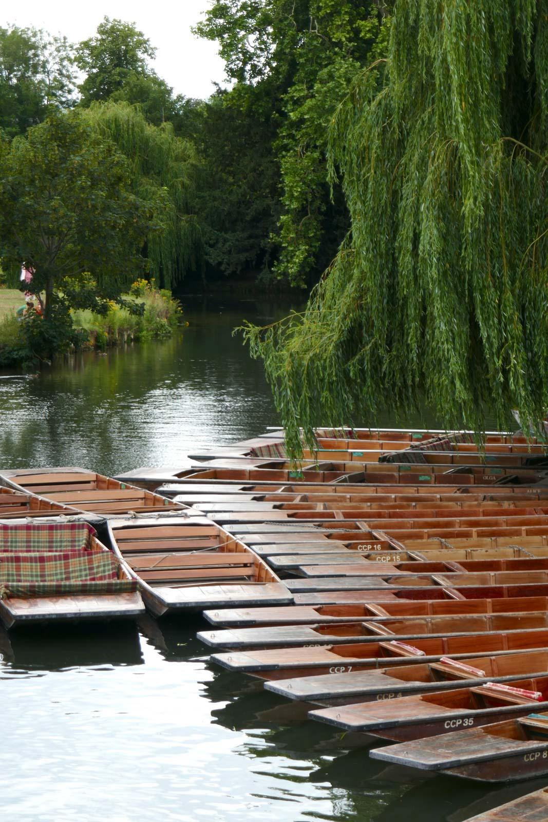 Les punt sur la rivière Cam © Pierre Gunther
