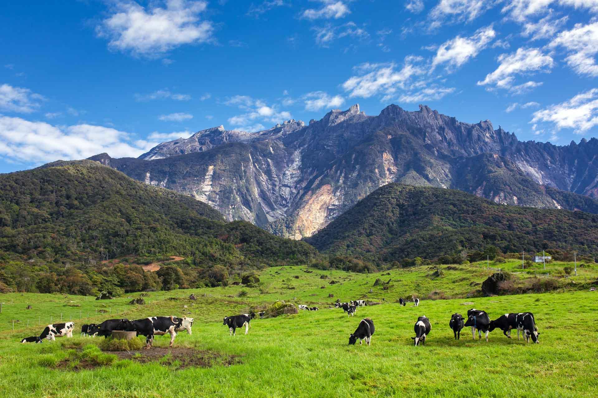 Kundasang © AdobeStock Mazur Travel