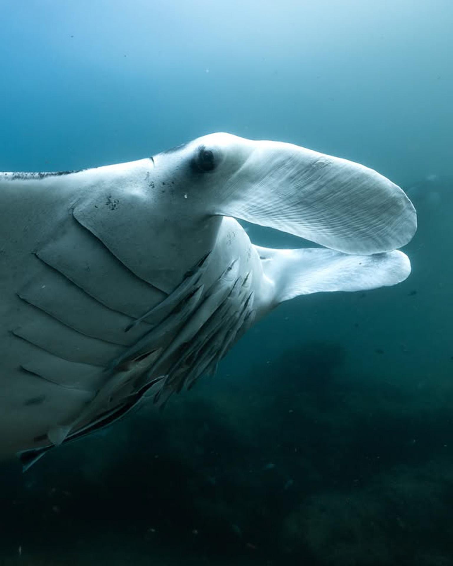 Kisawa Sanctuory © Instagram