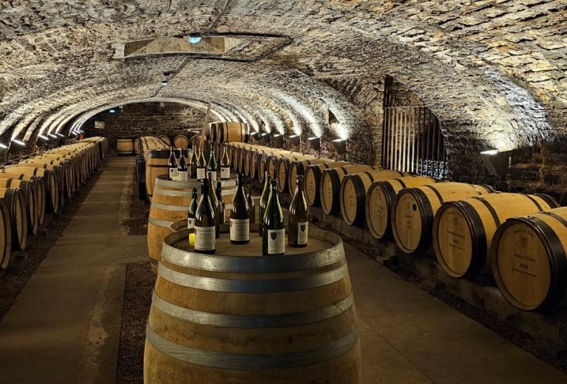 La cave de l’Hôtel-Dieu © Hospices de Beaune