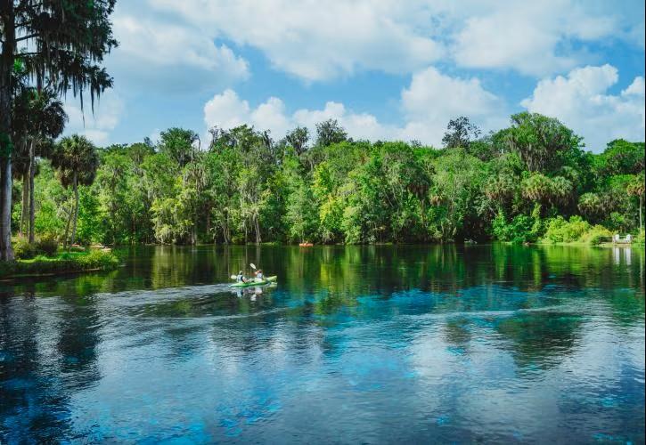 Silver Springs State Park © Kossina Creative