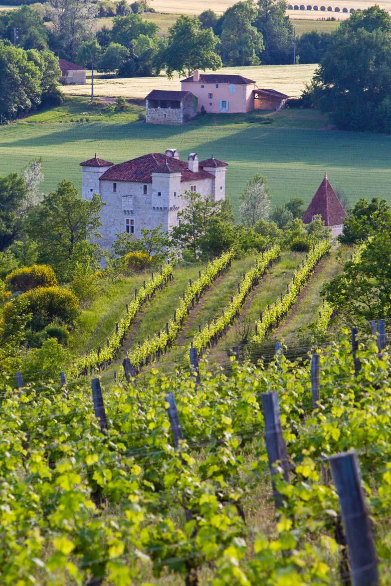 Les vignes du Domaine de Herrebouc © FITTE