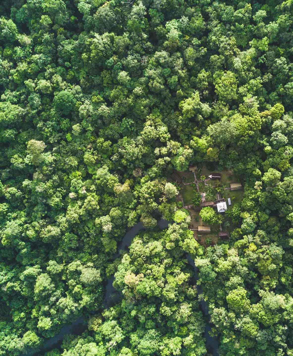 Les carbets perdus en pleine forêt © Wladimir Kinnoo