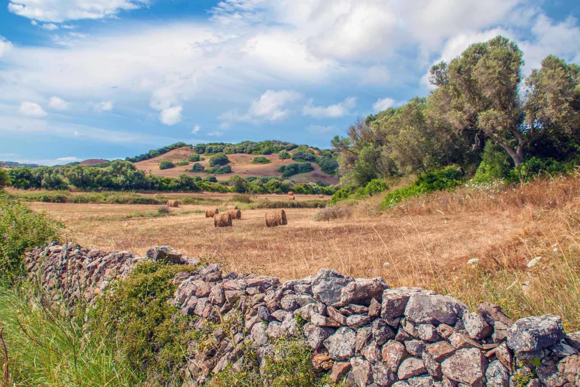 Paysage rural à Minorque © Adobestock - Jorge