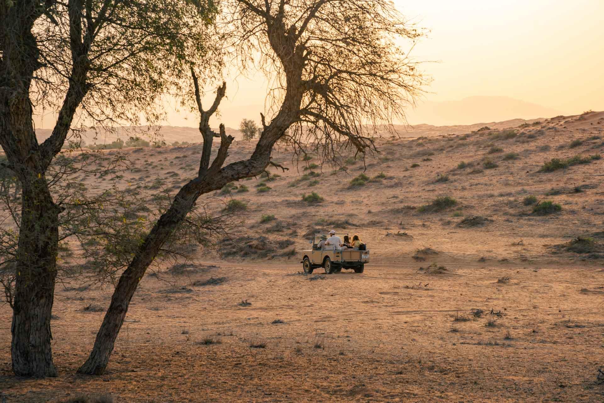 Desert Al Wadi © Visit Ras al Khaimah