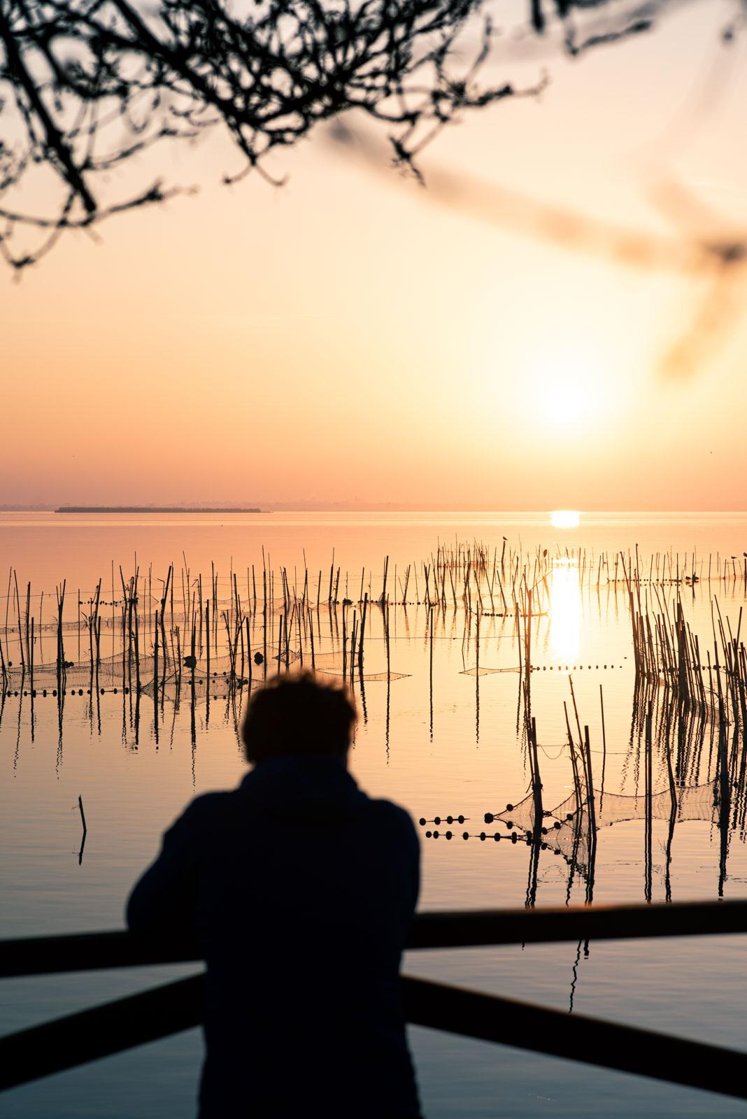 Albufera © Visit Valencia 