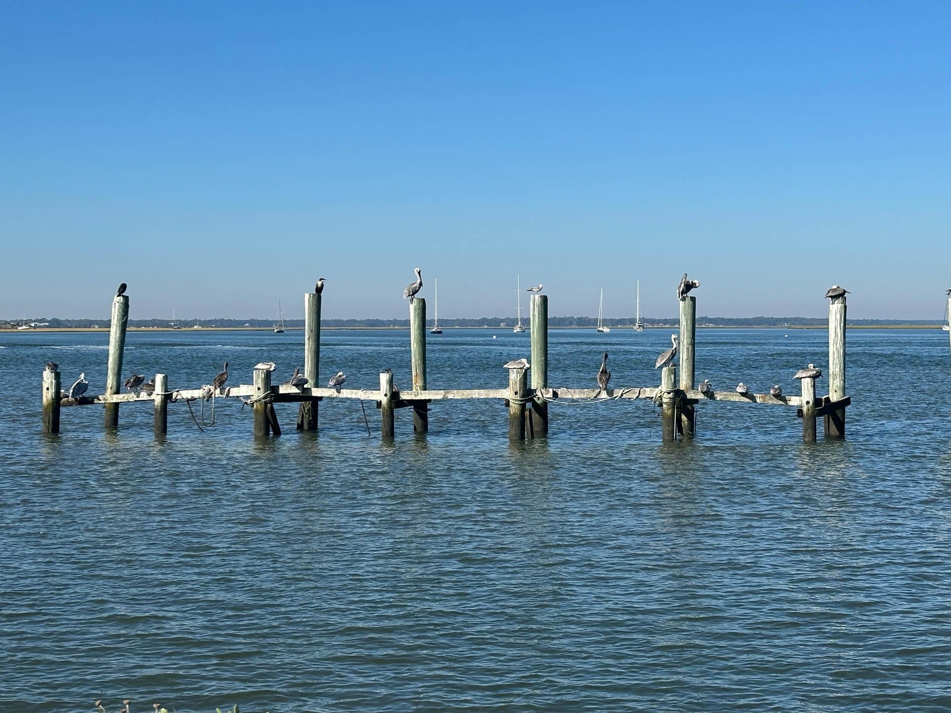 Amelia Island © Pascale Missoud 