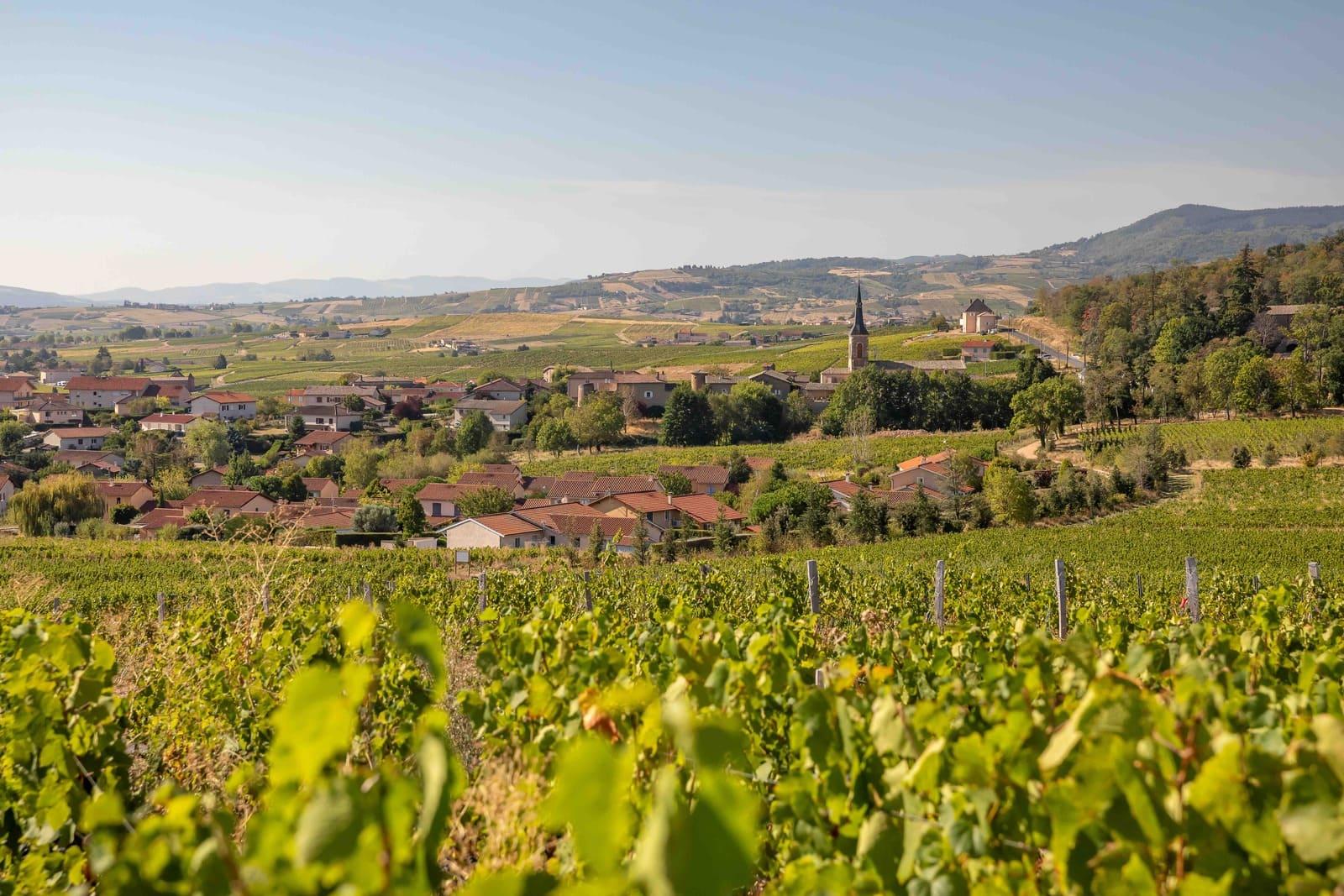 Les paysages du Beaujolais © Etienne Ramousse