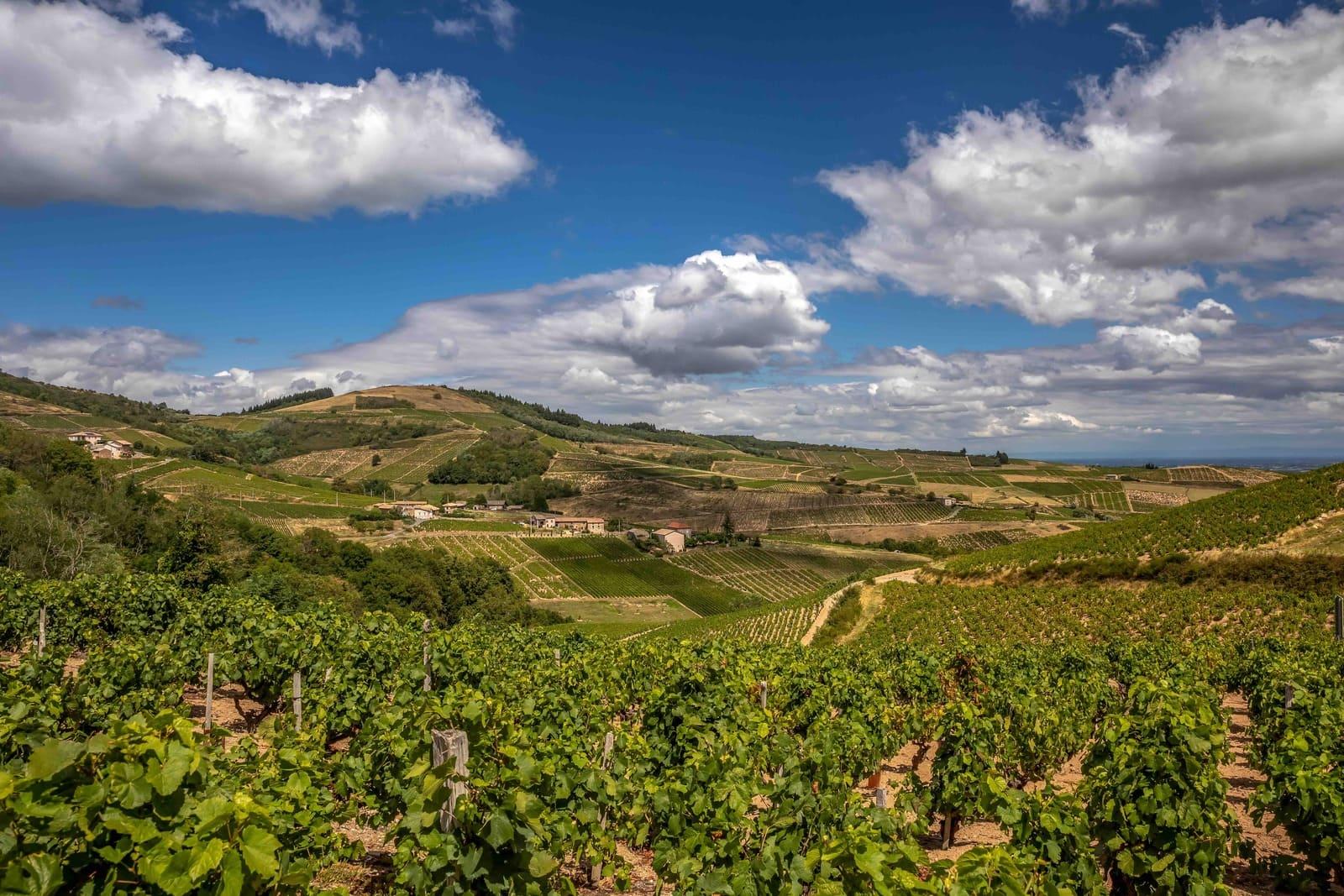 Visiter le Beaujolais © Etienne Ramousse
