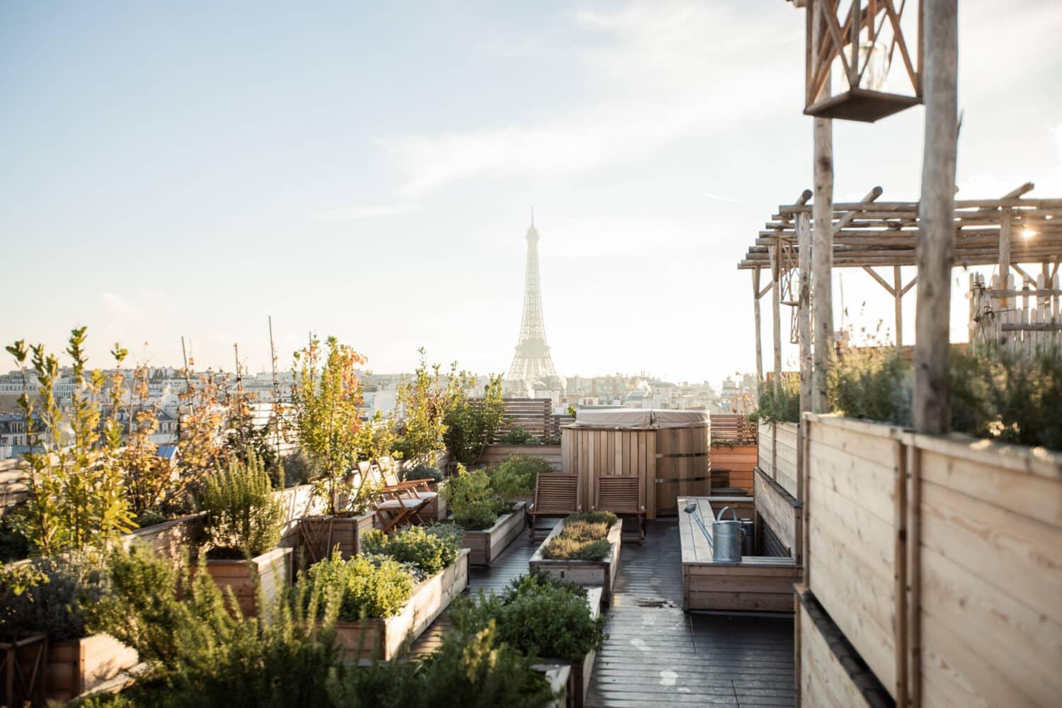 Le potager sur le rooftop du Brach © Yann Audic