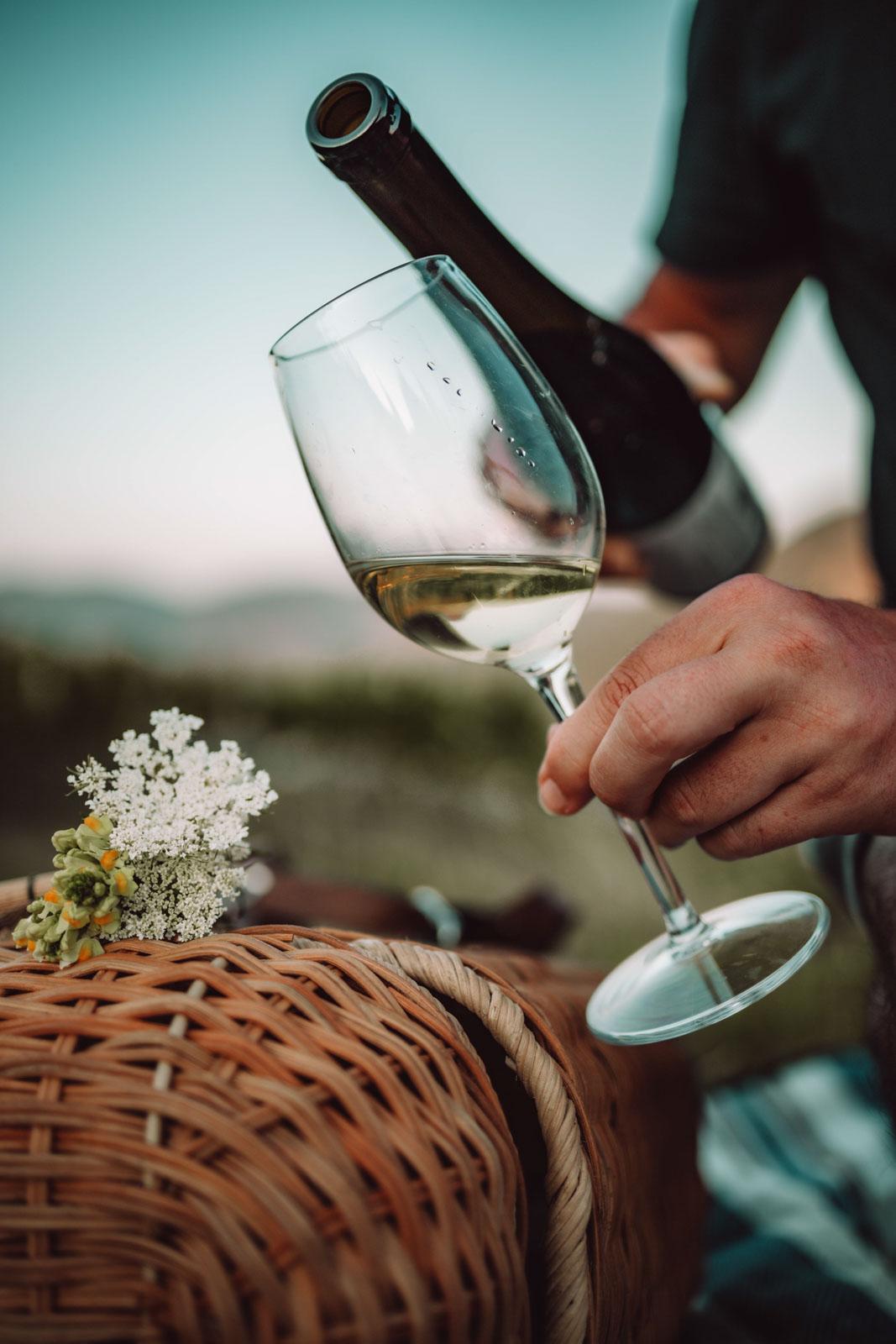 Dégustation de vins dans le domaine © 