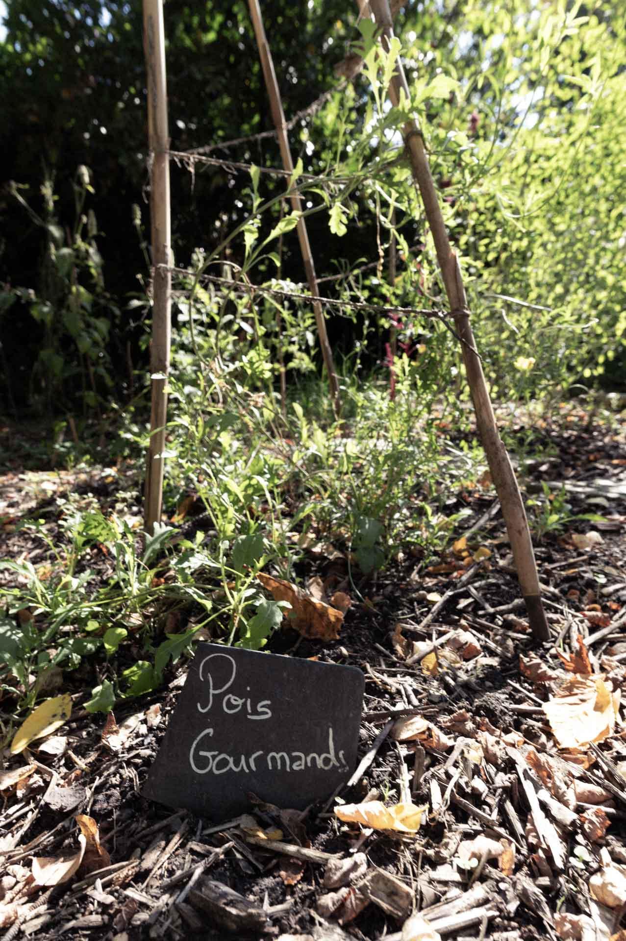 Le potager du restaurant © Diego Parlange