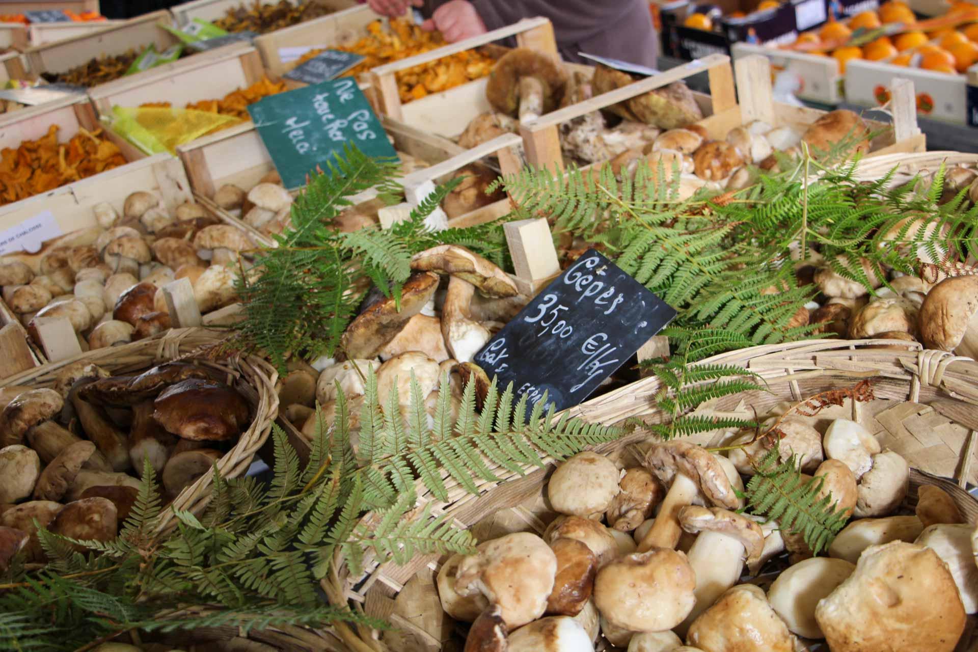 Les marchés des Landes © OT Landes