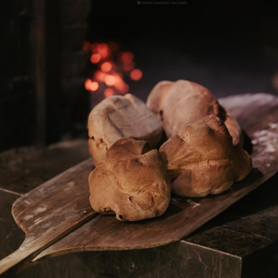 Le véritable pain de Matera, cuit au feu de bois, de chez © Pane & Pace Le véritable pain de Matera, cuit au feu de bois, de chez © Pane & Pace