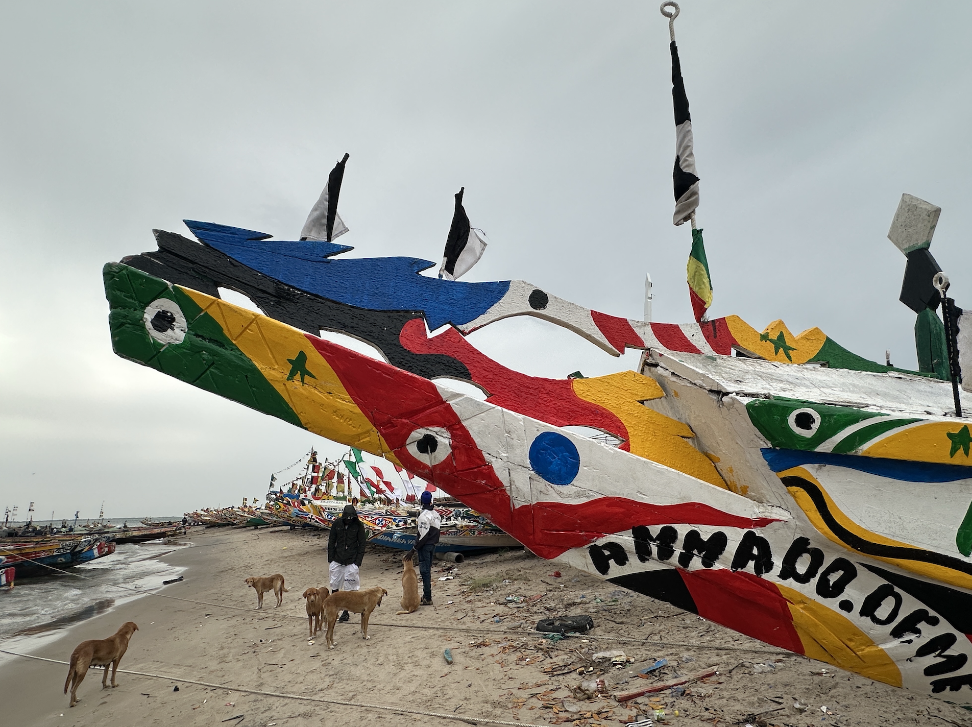 Djifer et son armée de pirogues prêtes à pêcher © Pascale Missoud