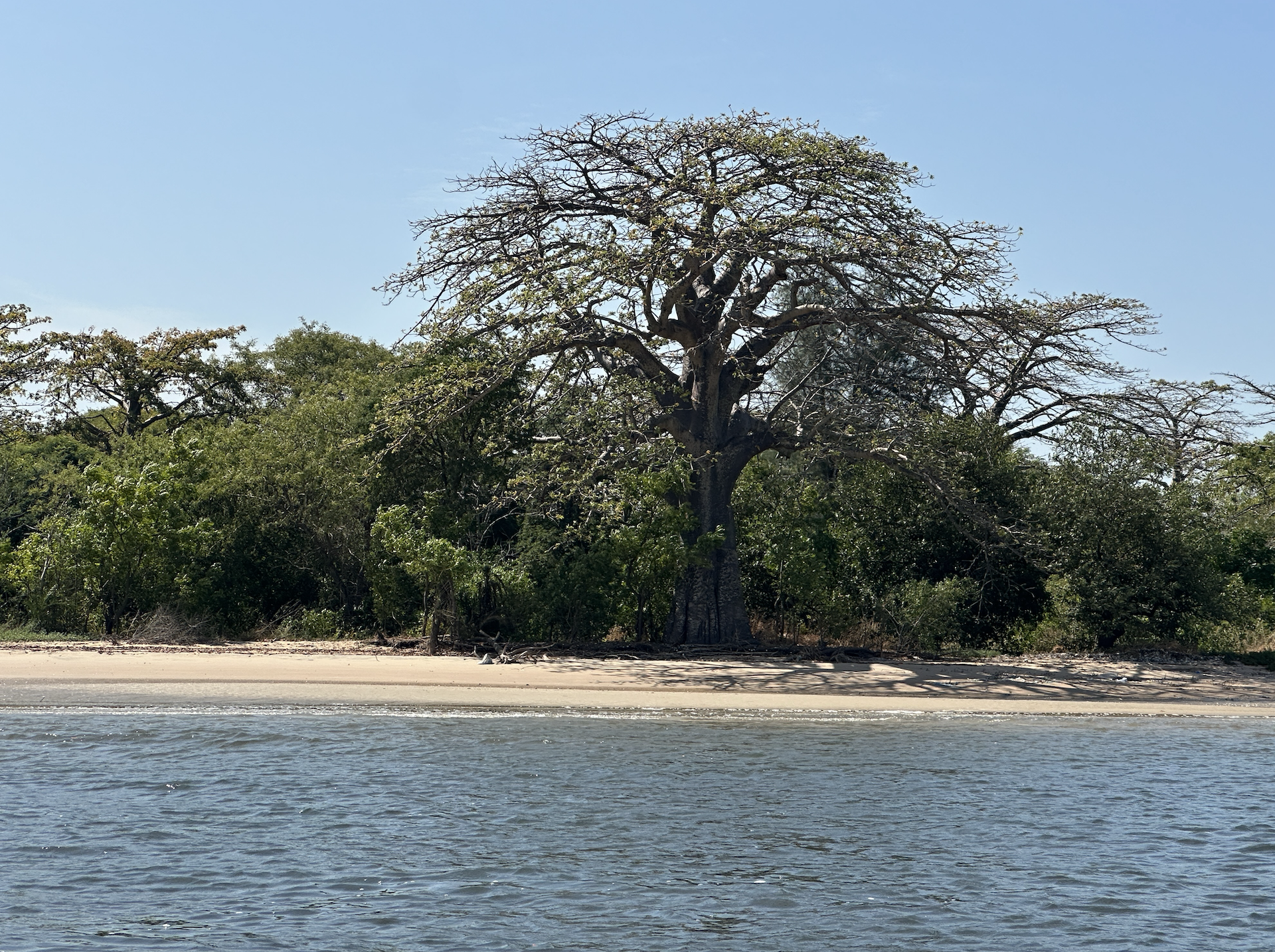 La pointe Jackson © Pascale Missoud