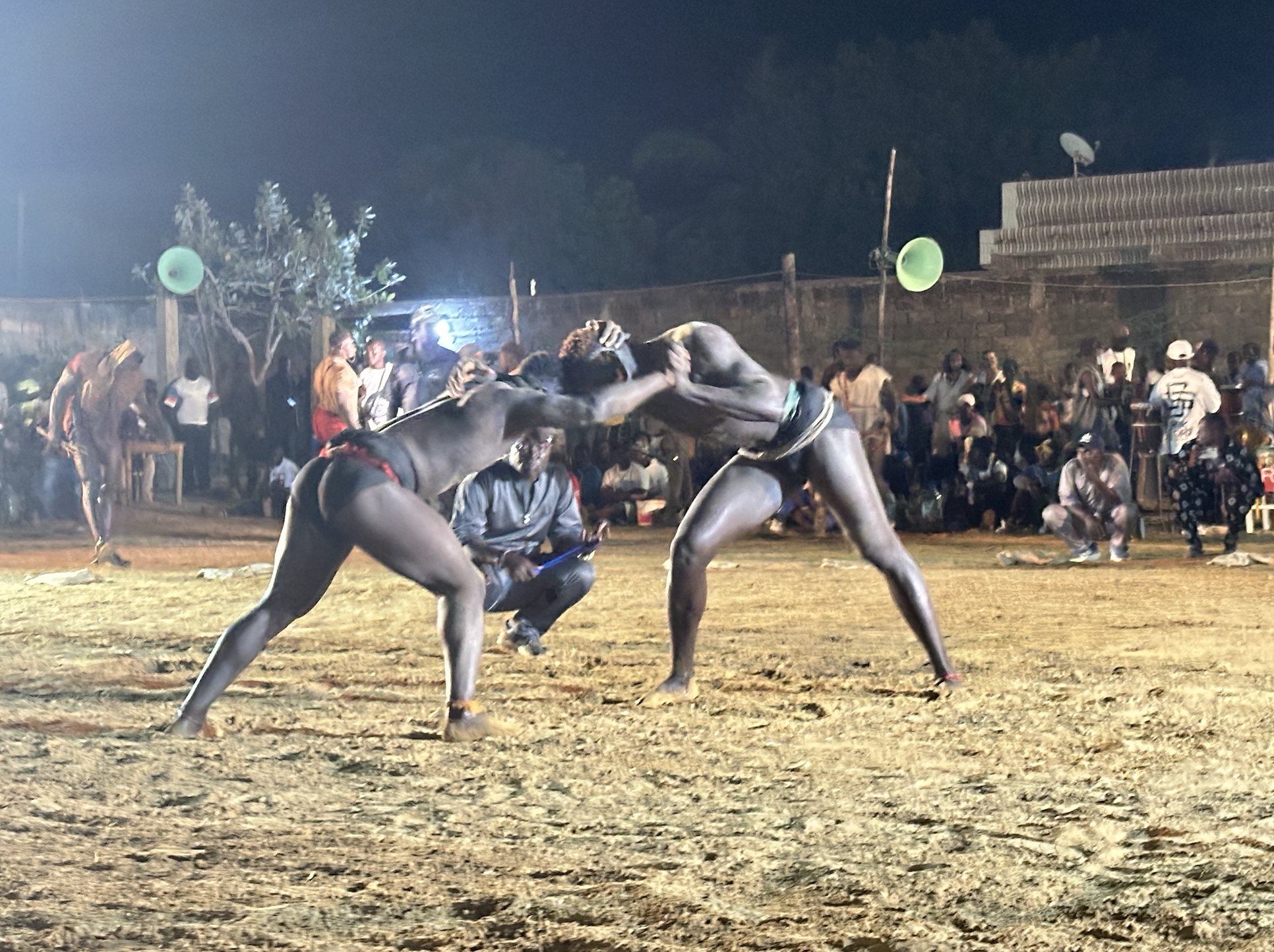 La lutte sénégalaise © Pascale Missioud