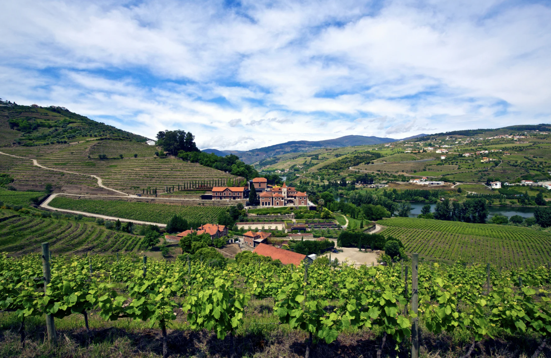 Les vignes du Douro © Six Senses Douro Valley