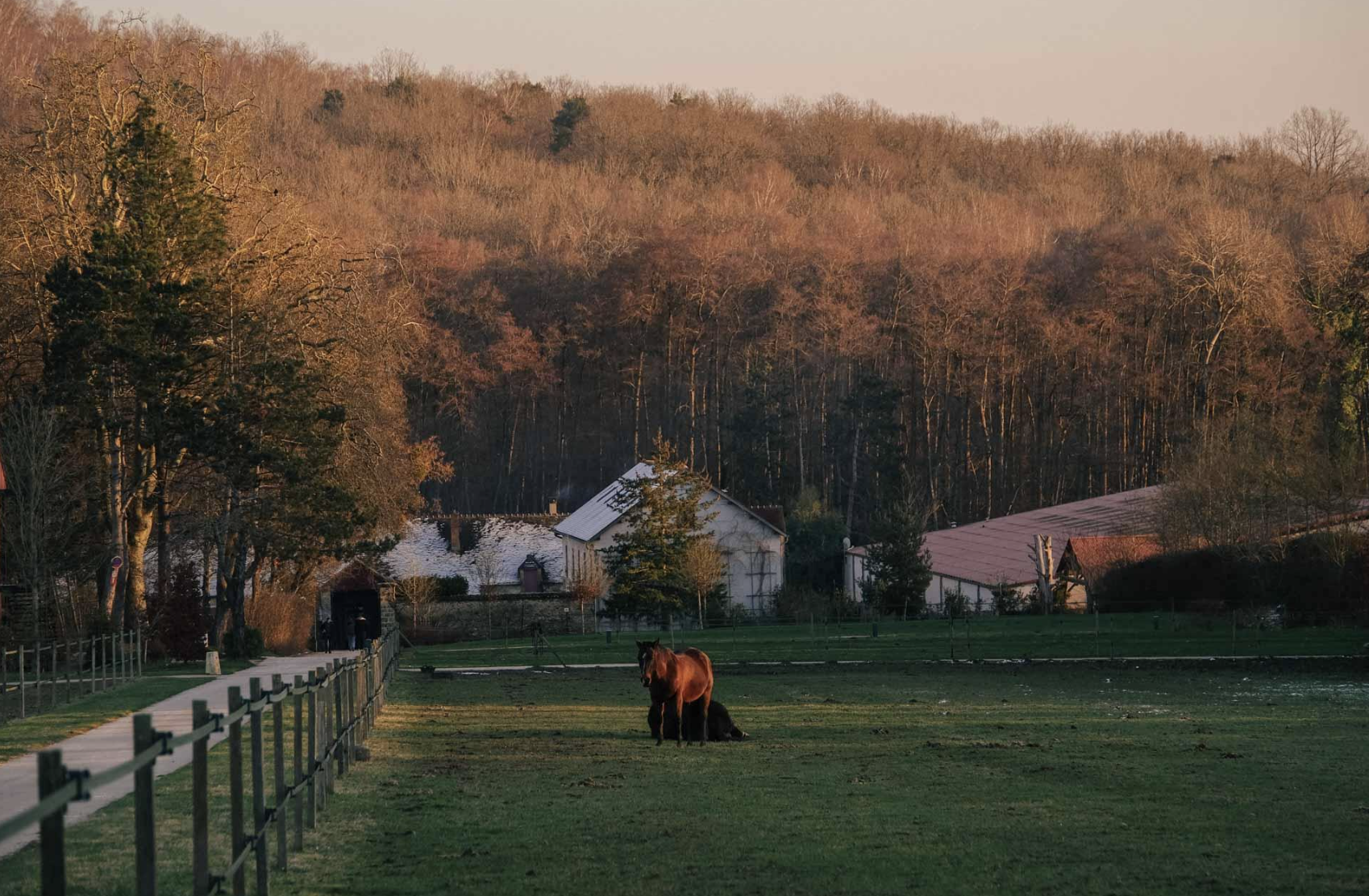 Un des chevaux de l’hôtel © Le Barn