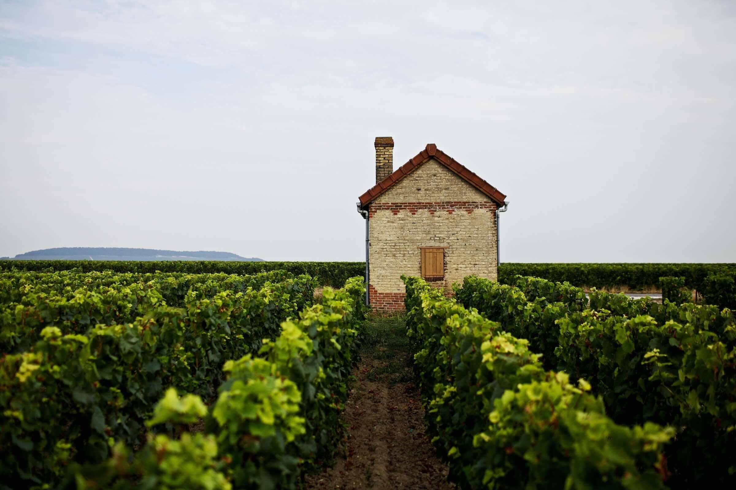 Le Domaine de Sousa © Mathieu Drouet 